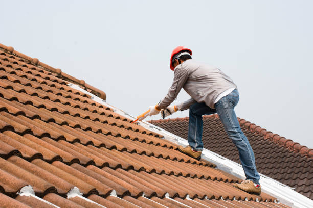 Best 4 Ply Roofing  in Kealakekua, HI