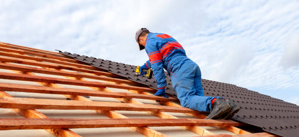 Best Chimney Flashing Repair  in Kealakekua, HI